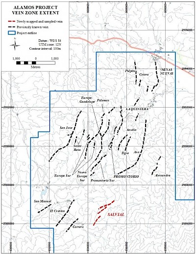 Figure 1. Alamos project, showing previously known vein zones and the newly mapped and sampled Salvial vein zone.