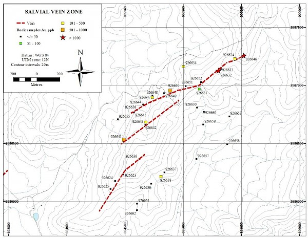 Figure 2. Salvial vein zone, showing rock sample locations, identified by sample number. Significant sample results are presented in Table 1. The Salvial zone is entirely hosted by quartz monzonite.