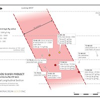 Longitudinal section of Zambona North vein (blind discovery) showing drill intersections (Terra Mines 1982 report).NOTE:GENERATED GRAPHIC, PLEASE REFER TO ORIGINAL HISTORICAL IMAGE.