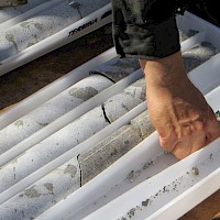 Core from our Alamos drilling program stored in core boxes and transported to our coreshack