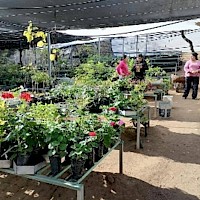 Nursery flower and produce harvest